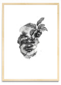 Fruto - Retrato MC