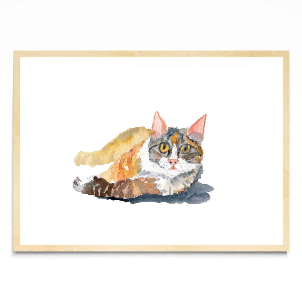 Gato - Paisaje MC