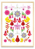 Flores Nacionales - Retrato MC
