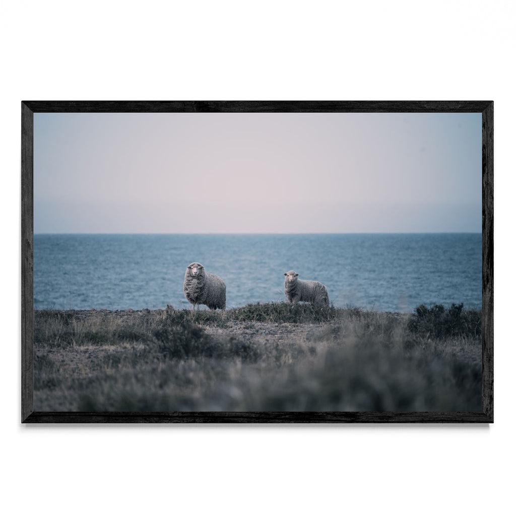 A la distancia - FotoH N