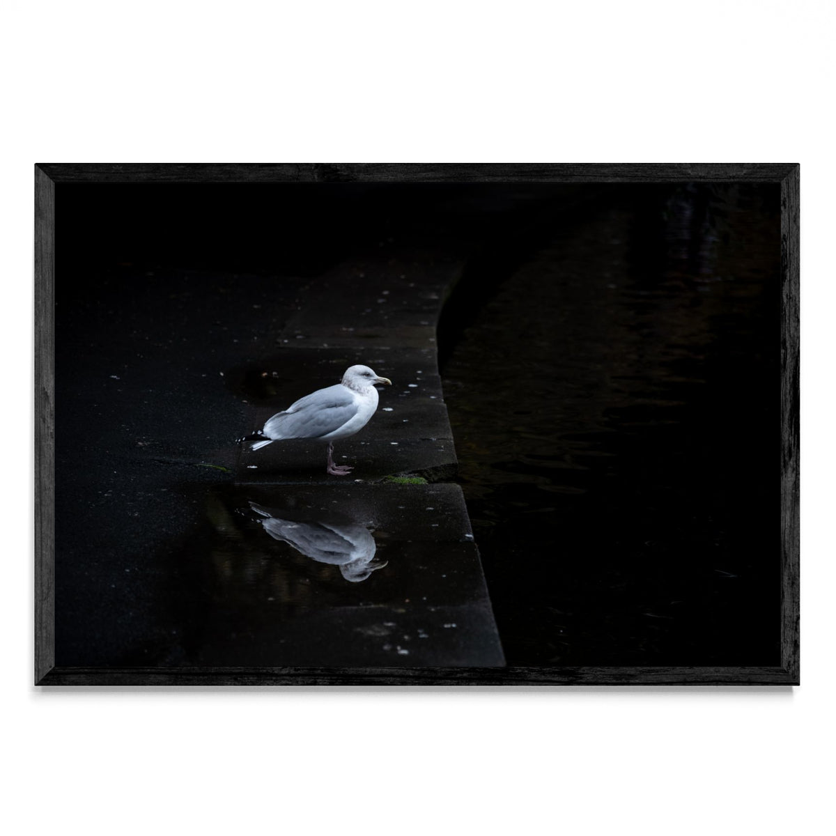 El pensamiento - FotoH N
