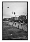 Instante en vuelo - FotoV N