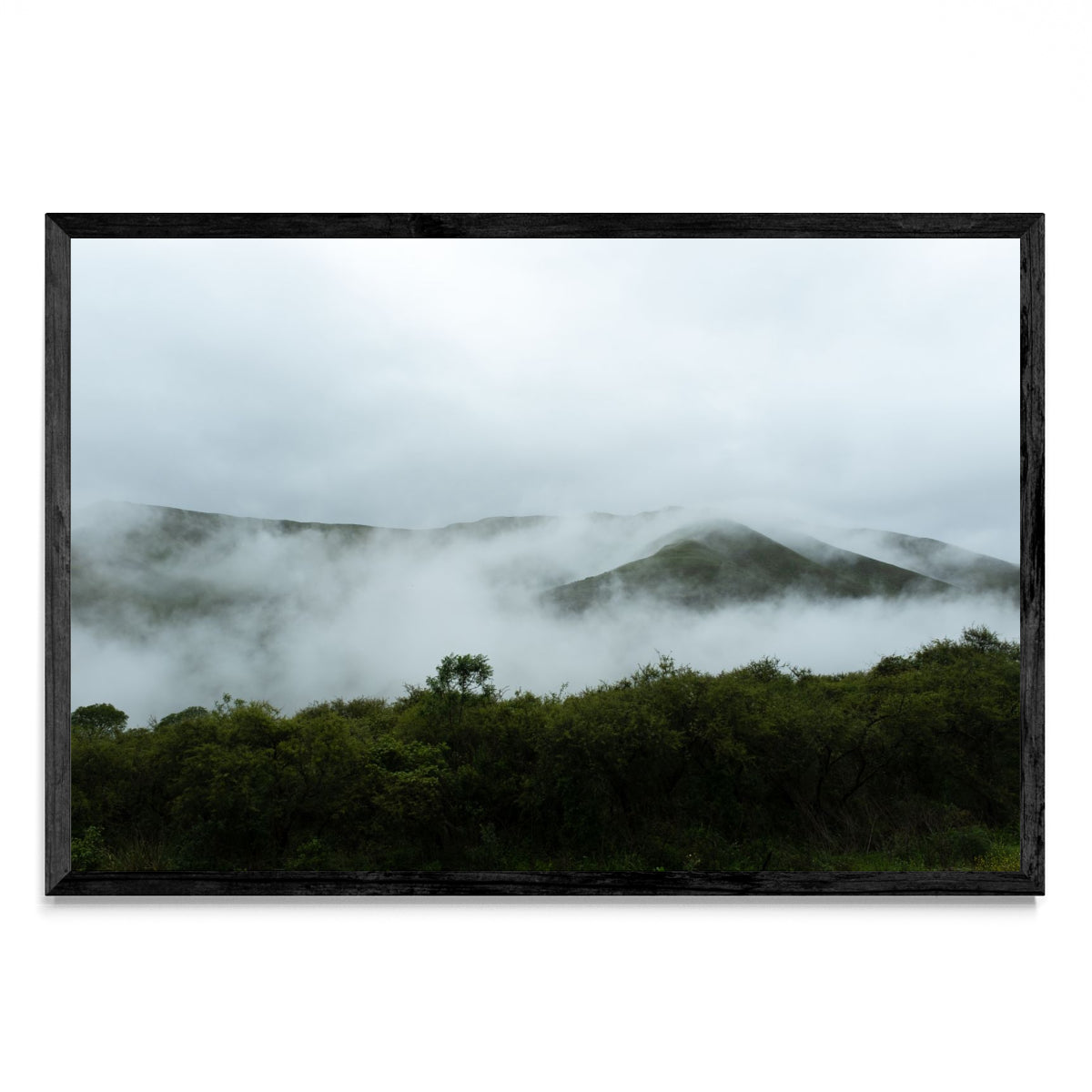 Nubes entre árboles - FotoH N