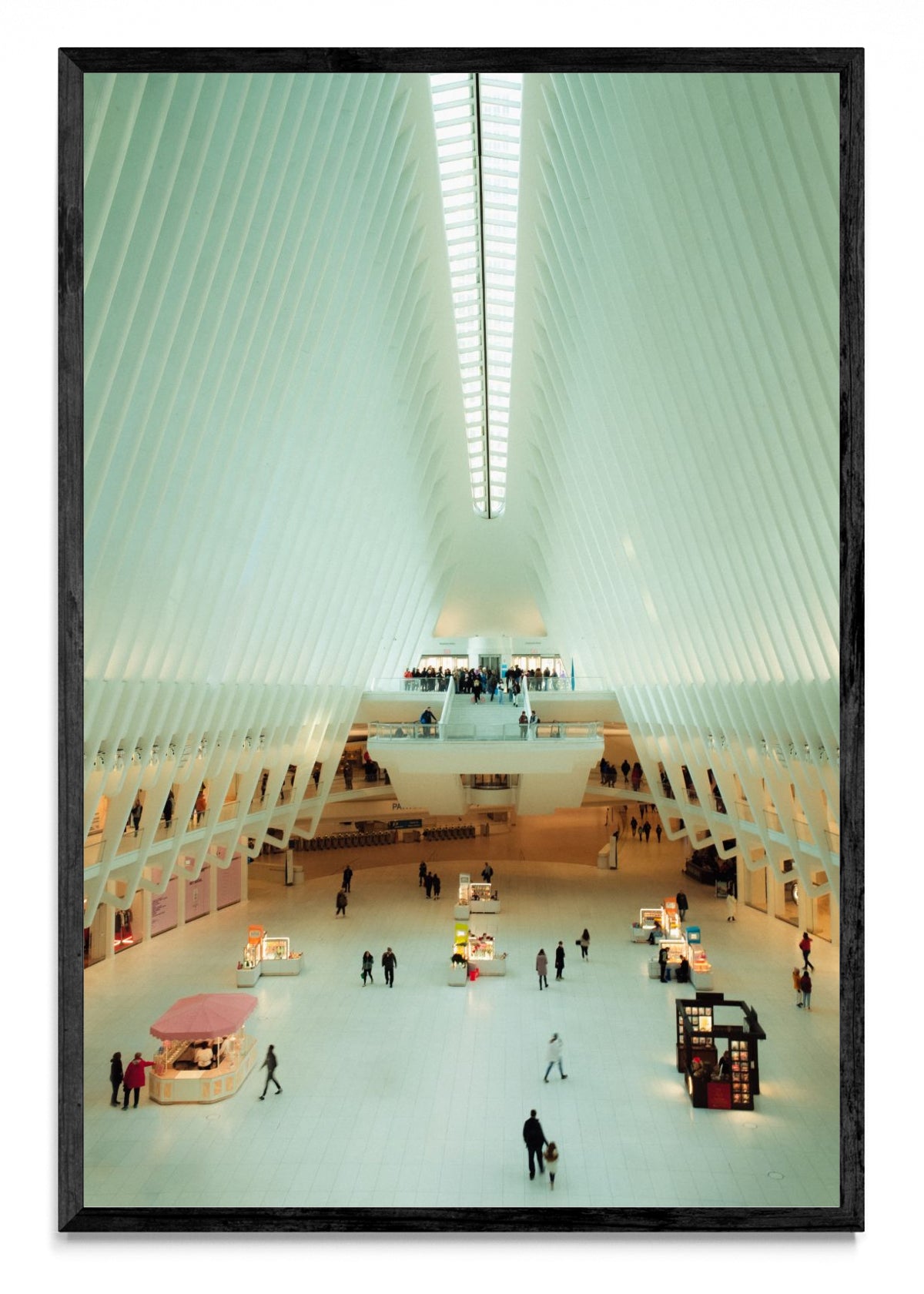 Oculus, NY - FotoV N