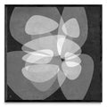 Diaphanous QK 4 - Cuadrado N
