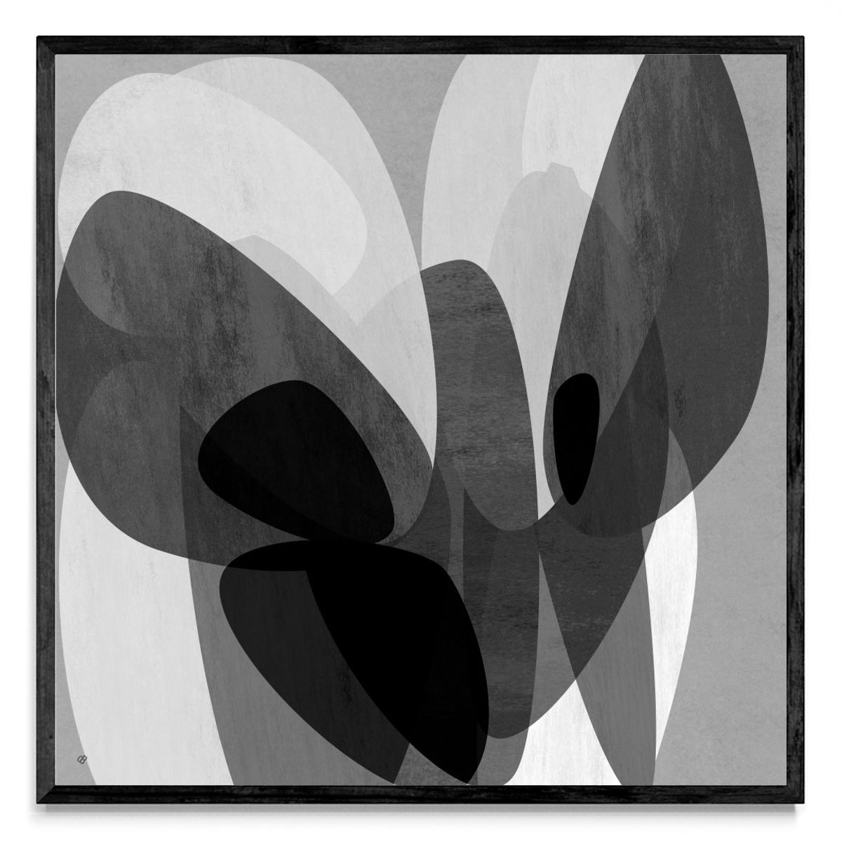 Diaphanous QK 8a - Cuadrado N