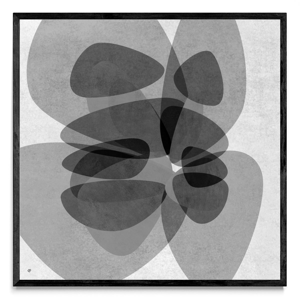 Diaphanous QKW 4 - Cuadrado N