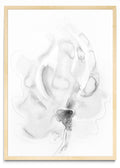 FLOR FANTASMA 2 - Retrato MC