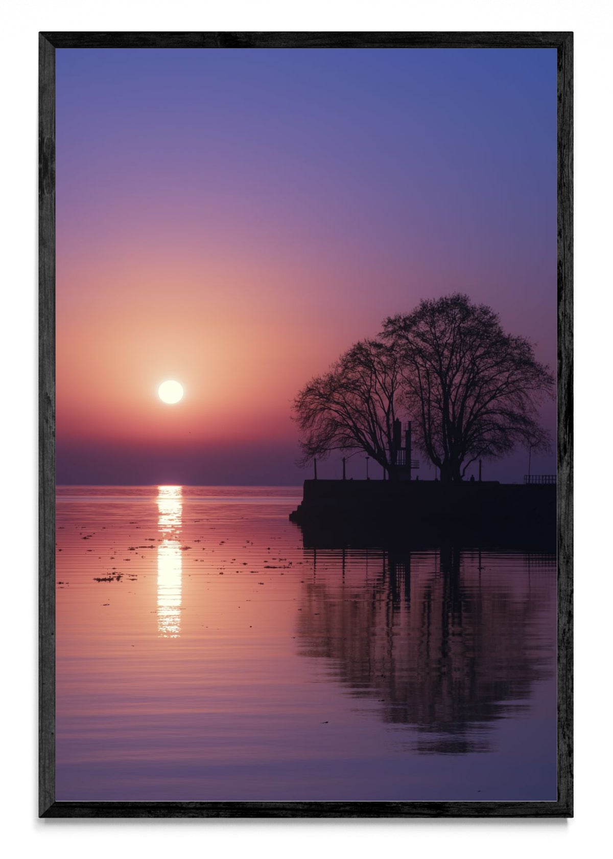 Violet sunrise - FotoV N