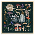 Fungi - Cuadrado MC