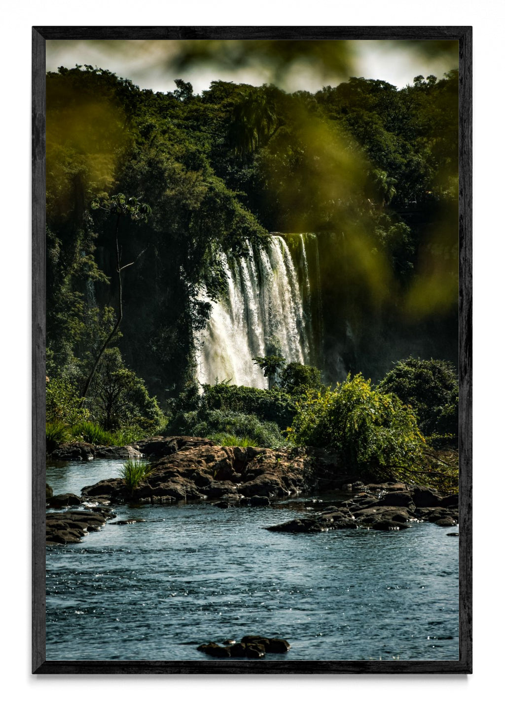 Susurros de la Selva - FotoV N