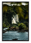 Susurros de la Selva - FotoV N