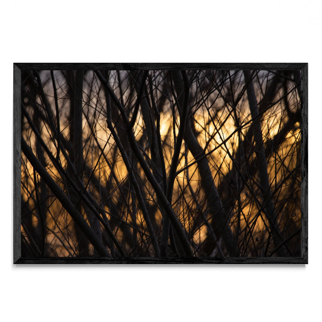 Atardece invierno - FotoH N