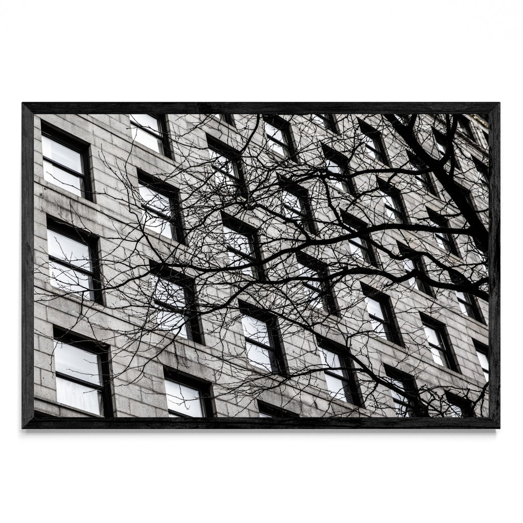 Ventanas de Boston - FotoH N
