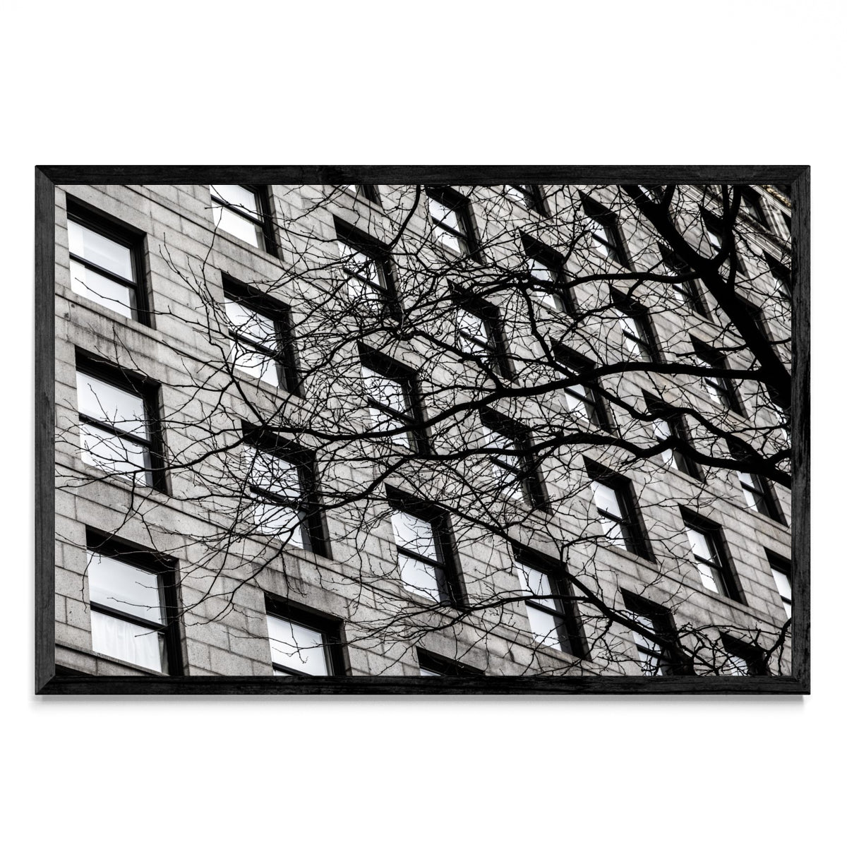 Ventanas de Boston - FotoH N