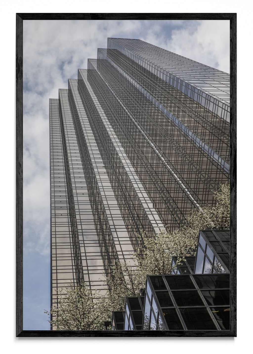 Trump Tower, 5th Avenue - FotoV N