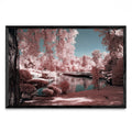 Pink garden - FotoH N