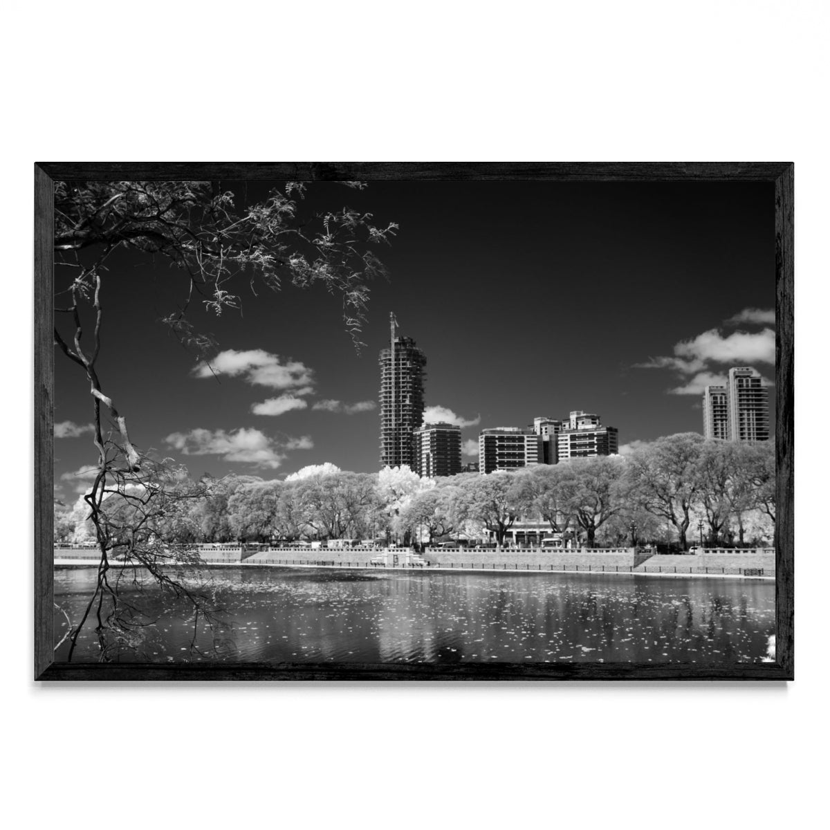 Reserva ecológica Costanera Sur - FotoH N