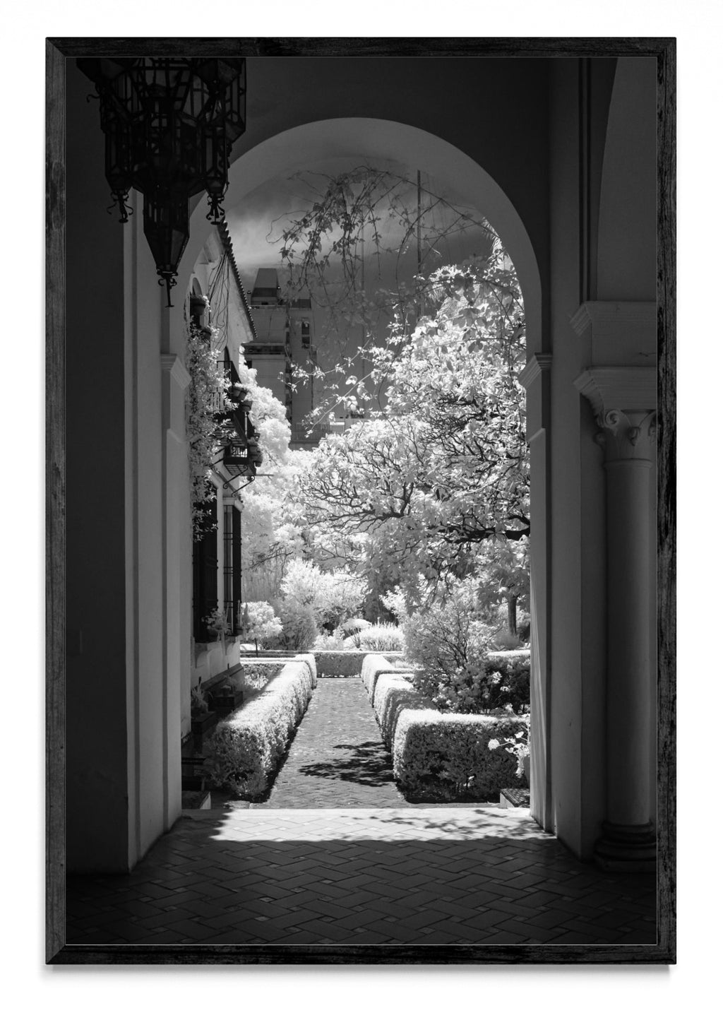 Garden - FotoV N
