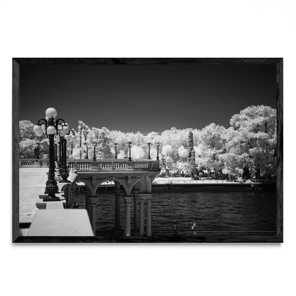 Paseo por el Tigre - FotoH N