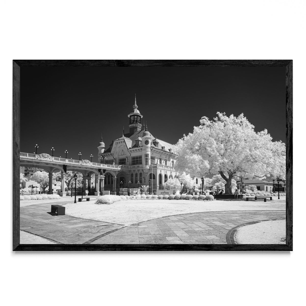Museo de Arte Tigre - FotoH N