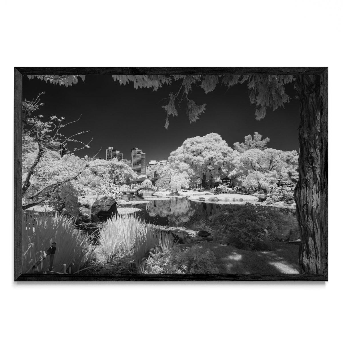 Jardín Japones - FotoH N