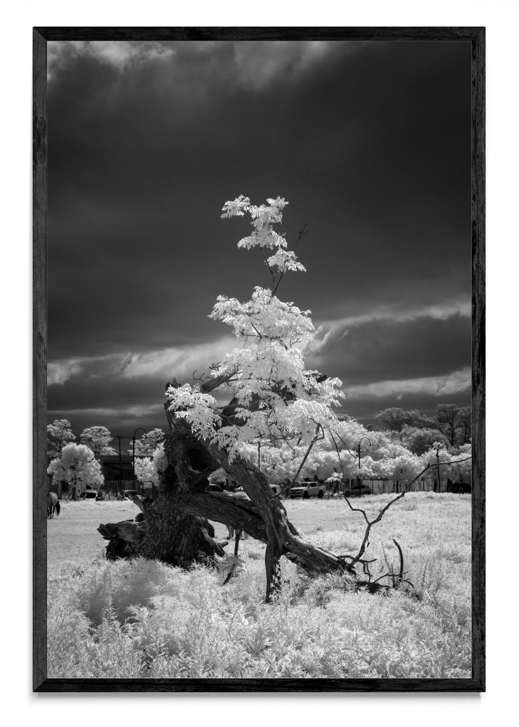 Serie Pueblos - FotoV N