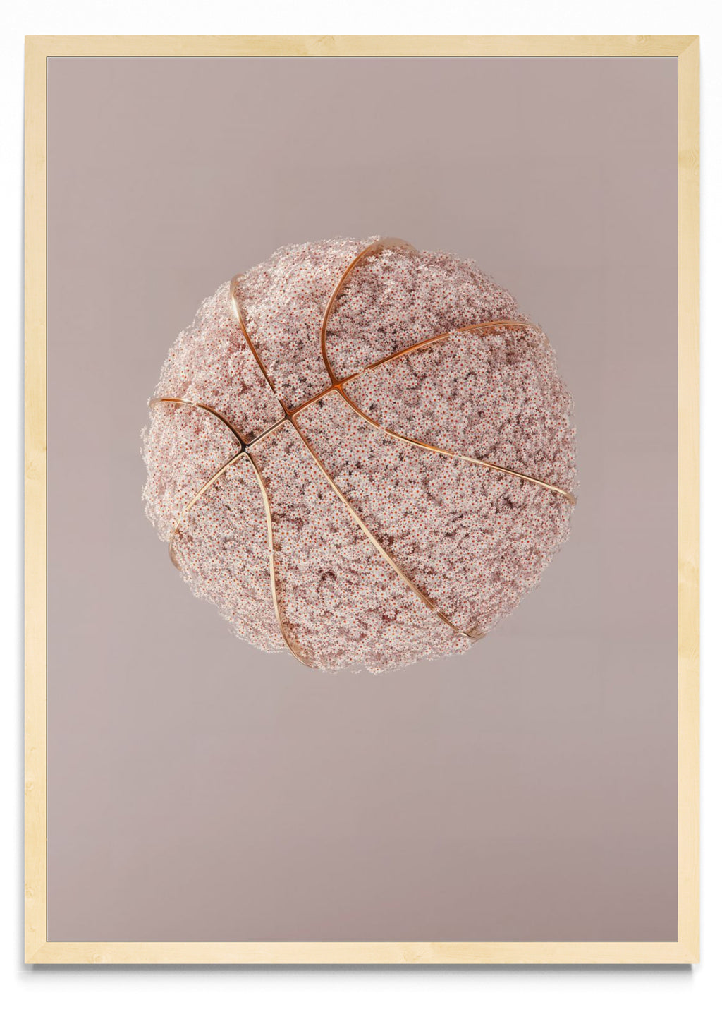 Flowerball - Retrato MC