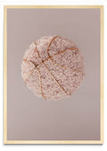 Flowerball - Retrato MC
