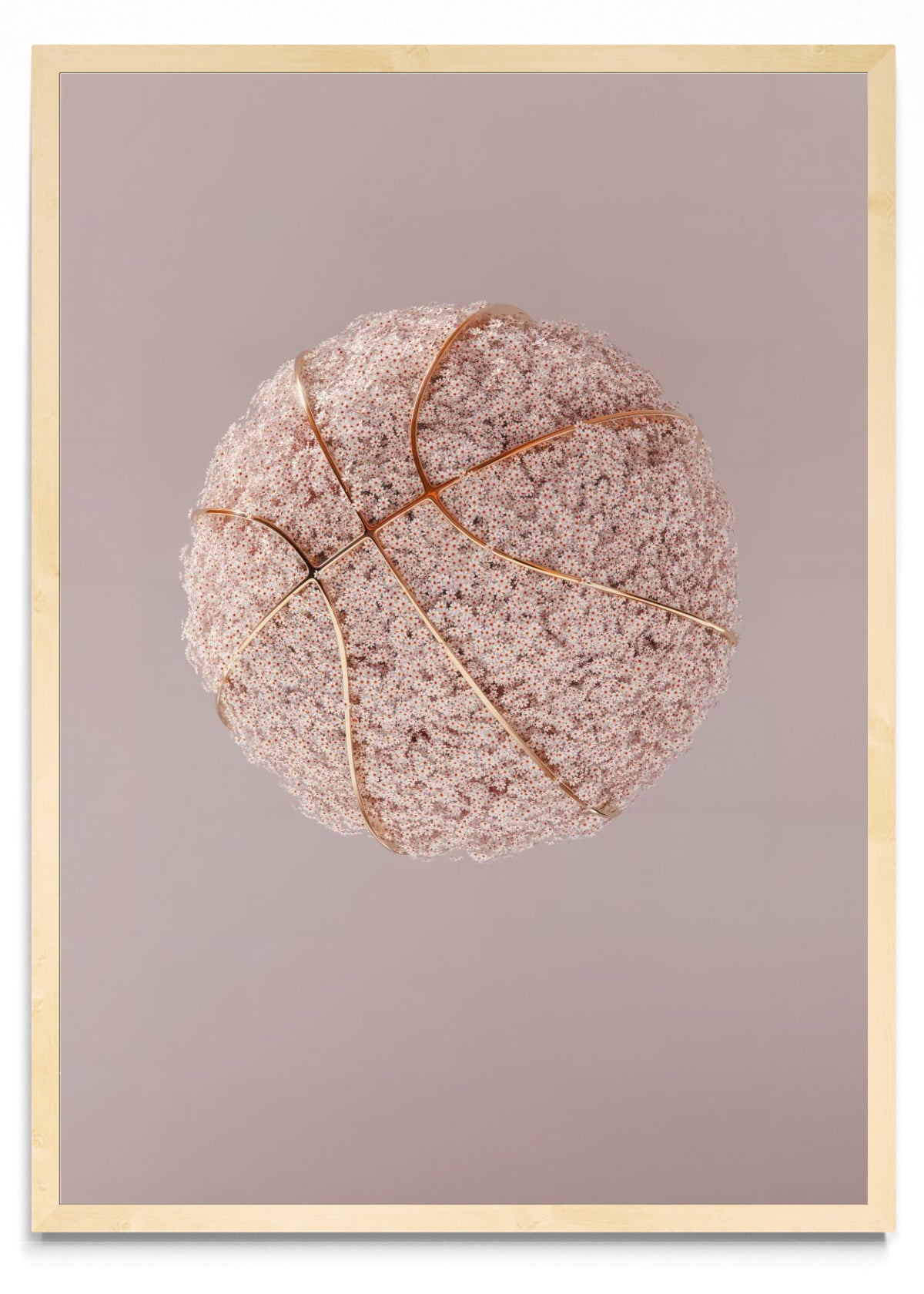 Flowerball - Retrato MC