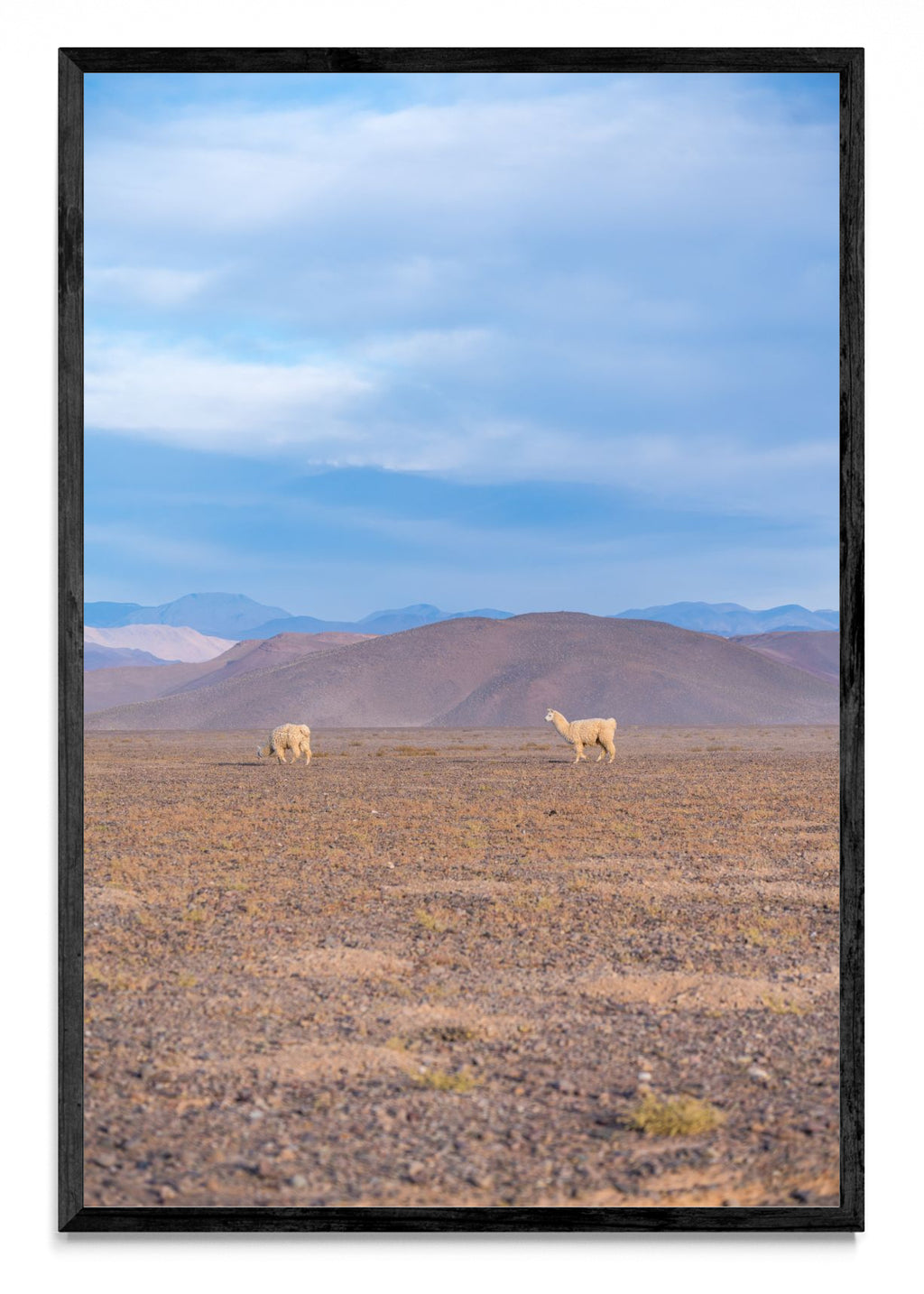 Llamas en la distancia - FotoV N