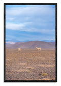 Llamas en la distancia - FotoV N