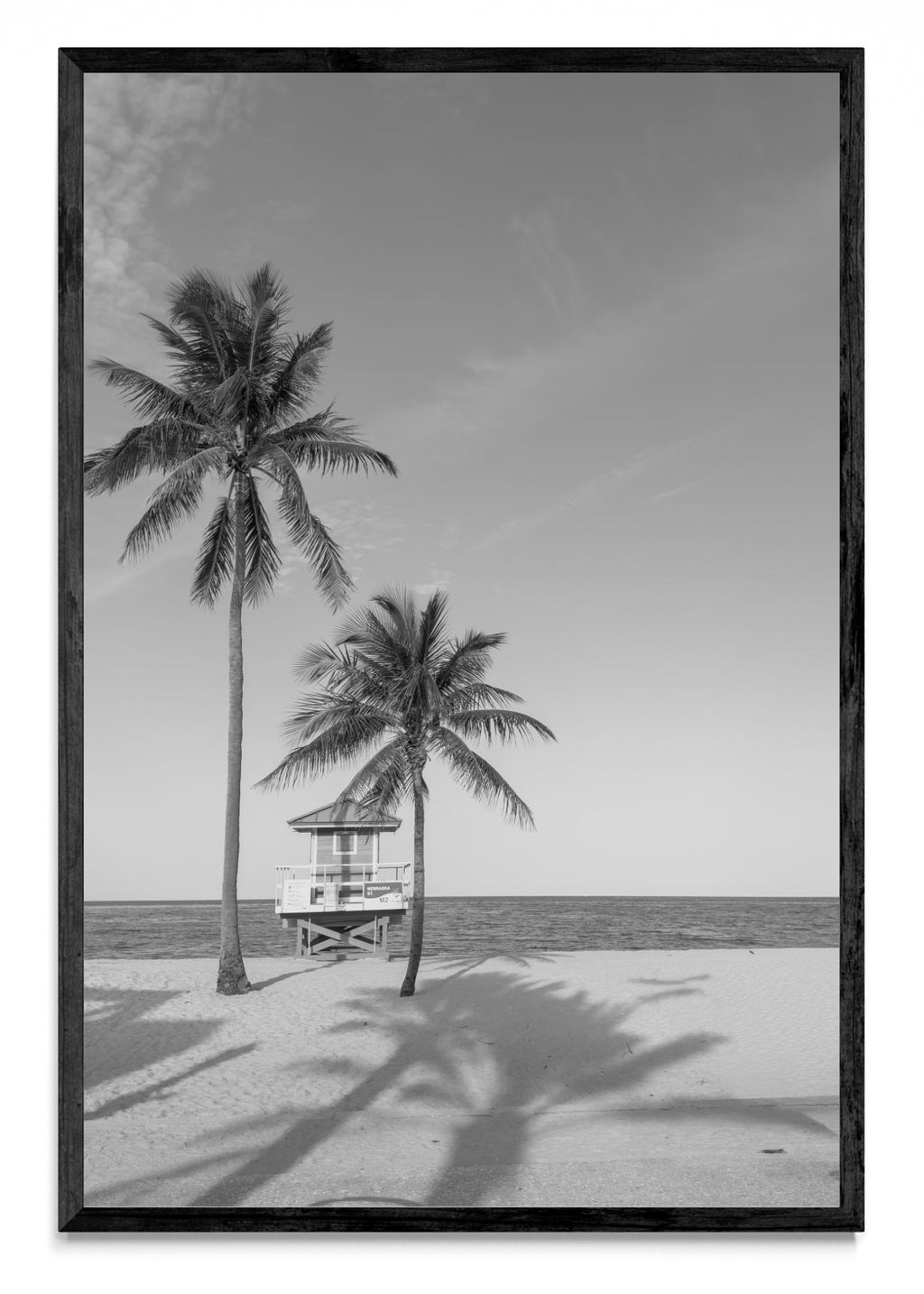 M2 - FotoV N