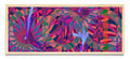 Panoramic Abstract Flower - Pano H MC