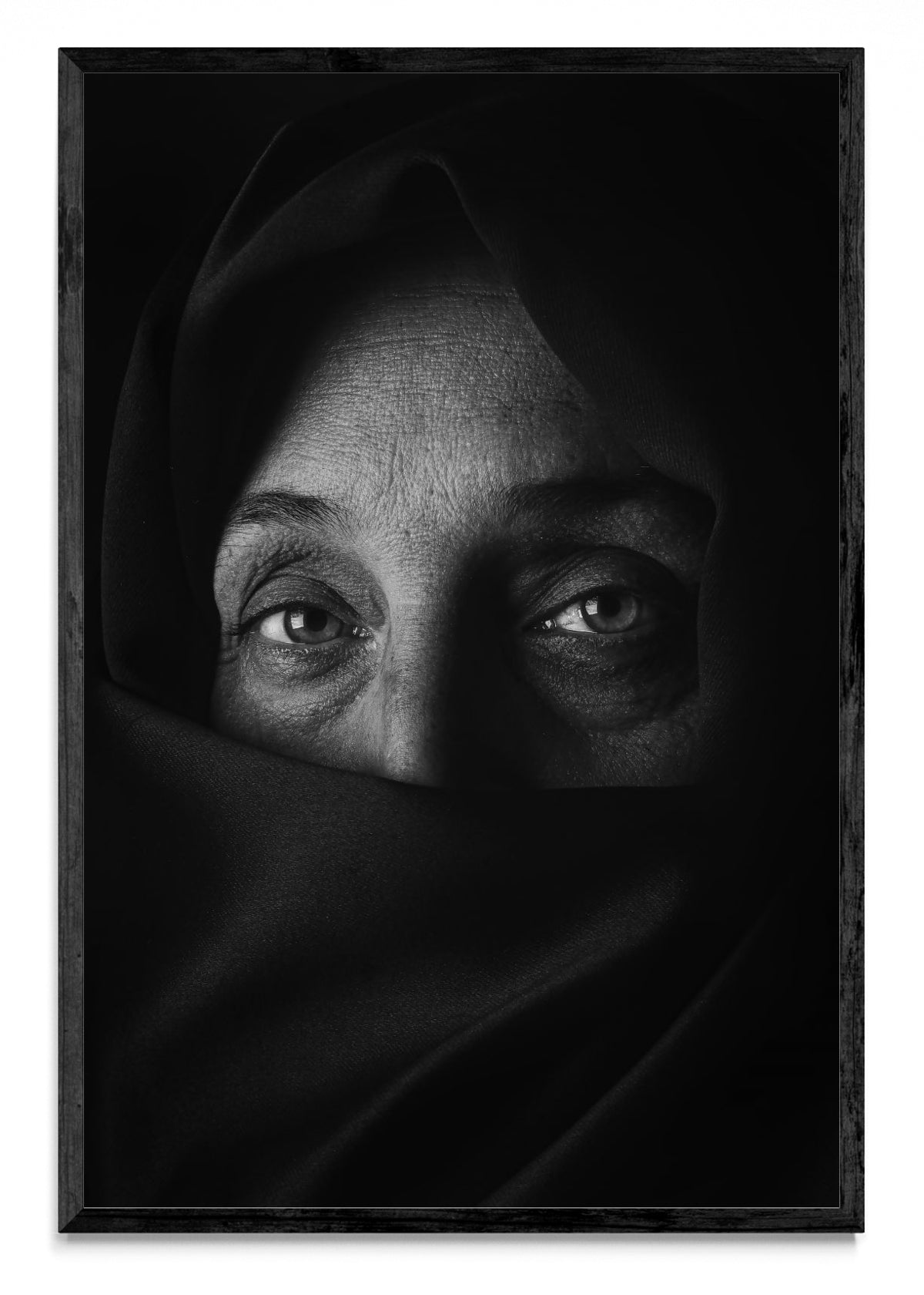 Resiliencia - FotoV N