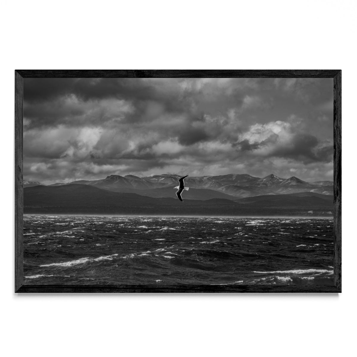 Libertad - FotoH N