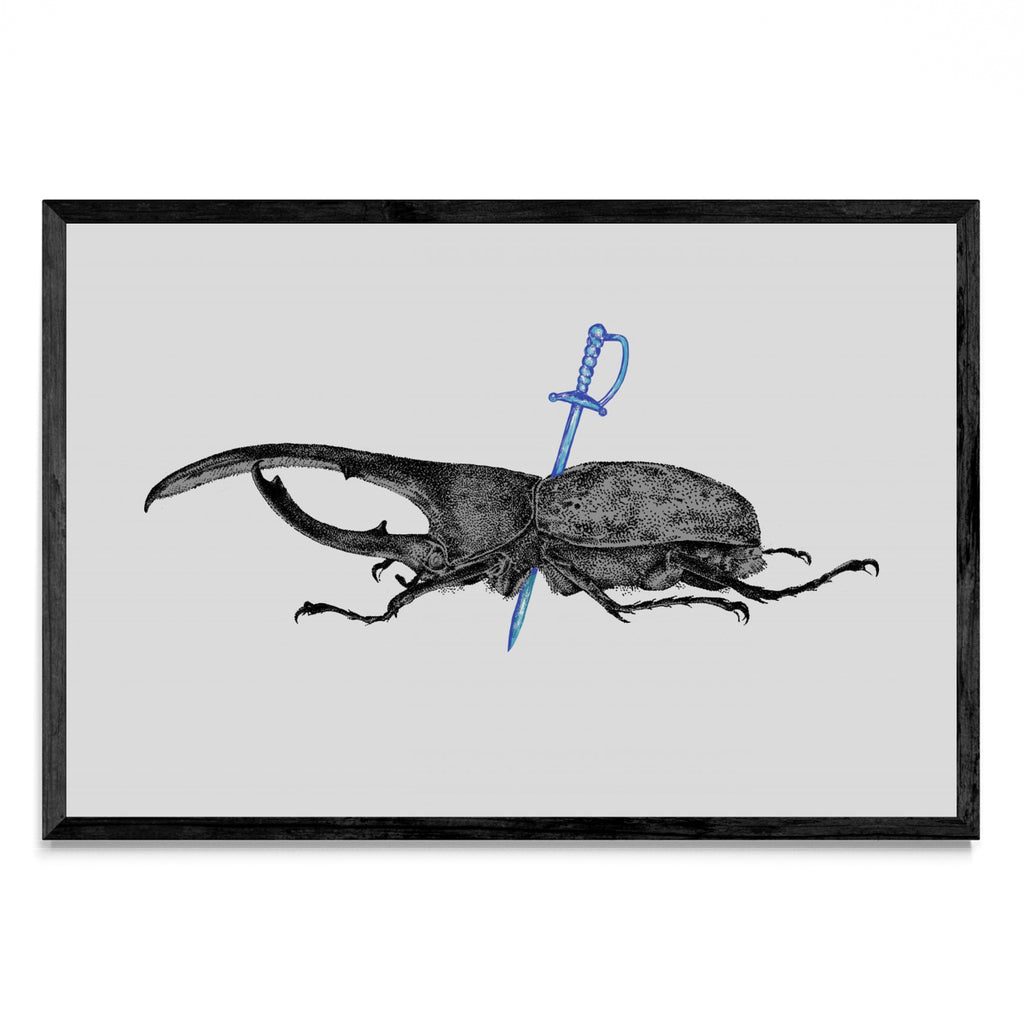 Dynastes Hercules - FotoH N