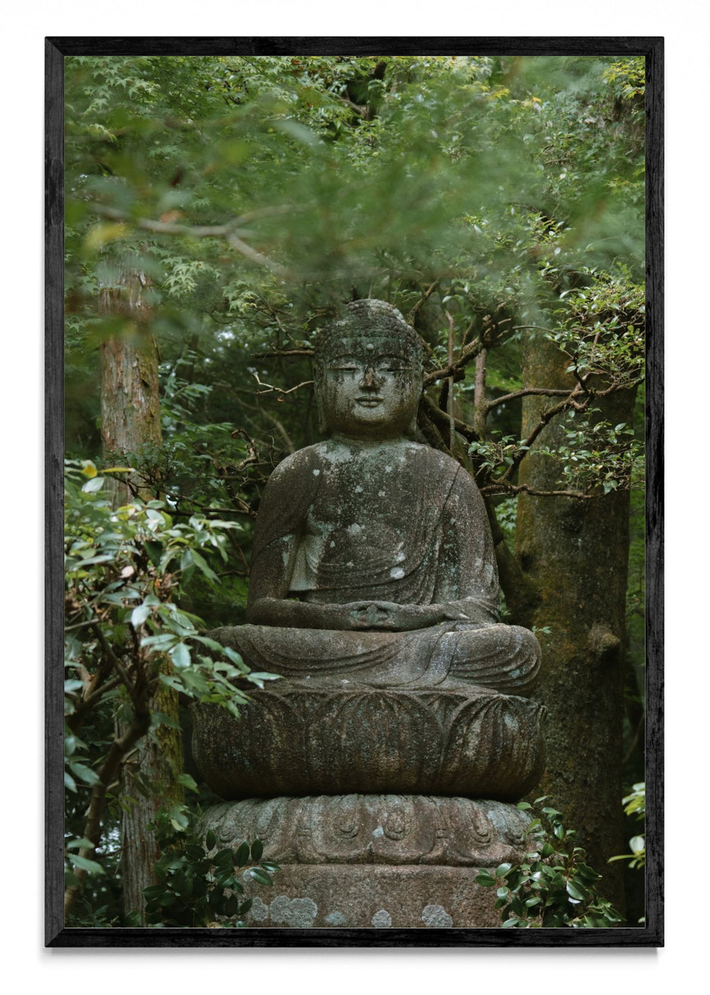 Kyoto Buda - FotoV N