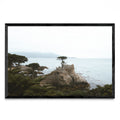 Lonely Cypress - FotoH N