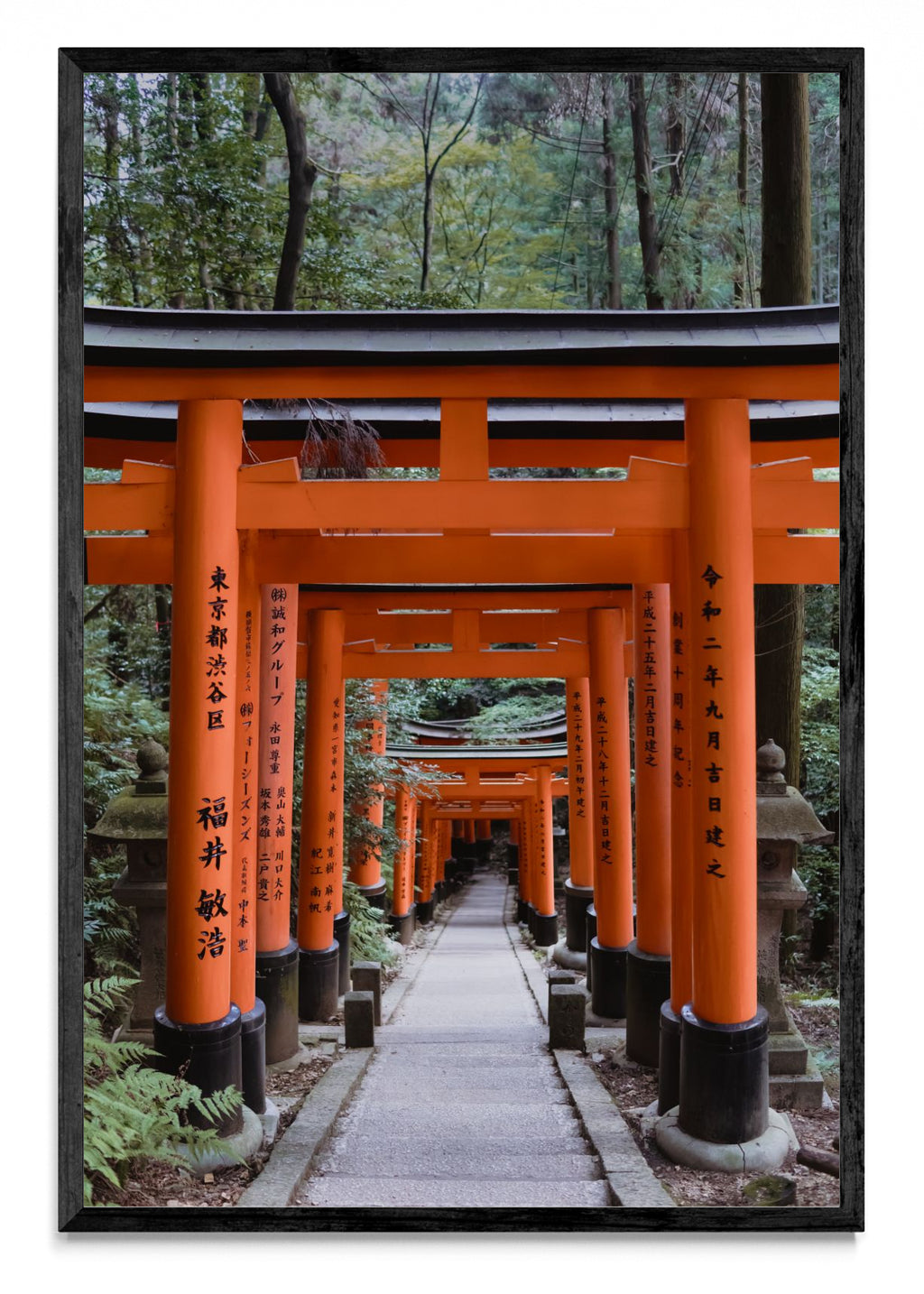 Fushimi Inari-taisha - FotoV N