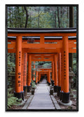 Fushimi Inari-taisha - FotoV N