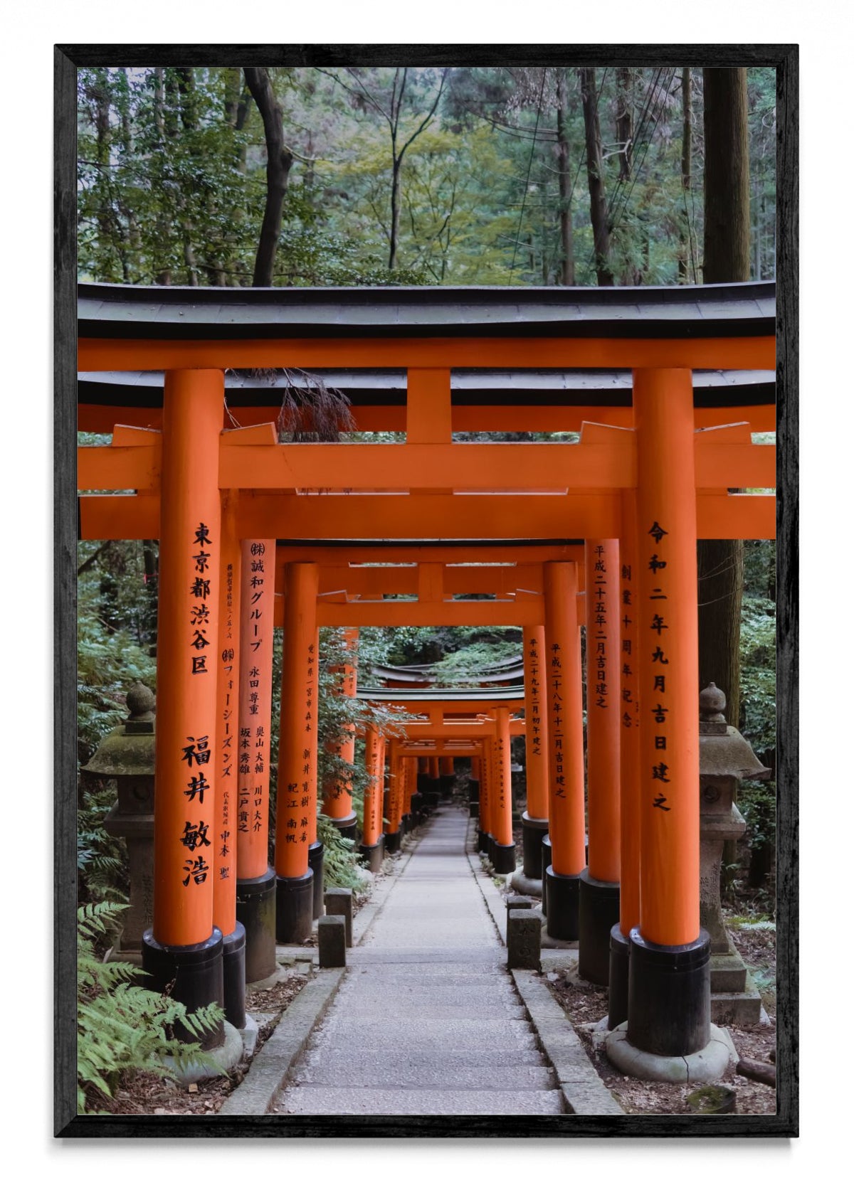 Fushimi Inari-taisha - FotoV N