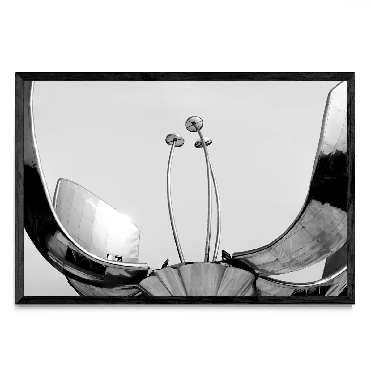 Floralis Generica - FotoH N
