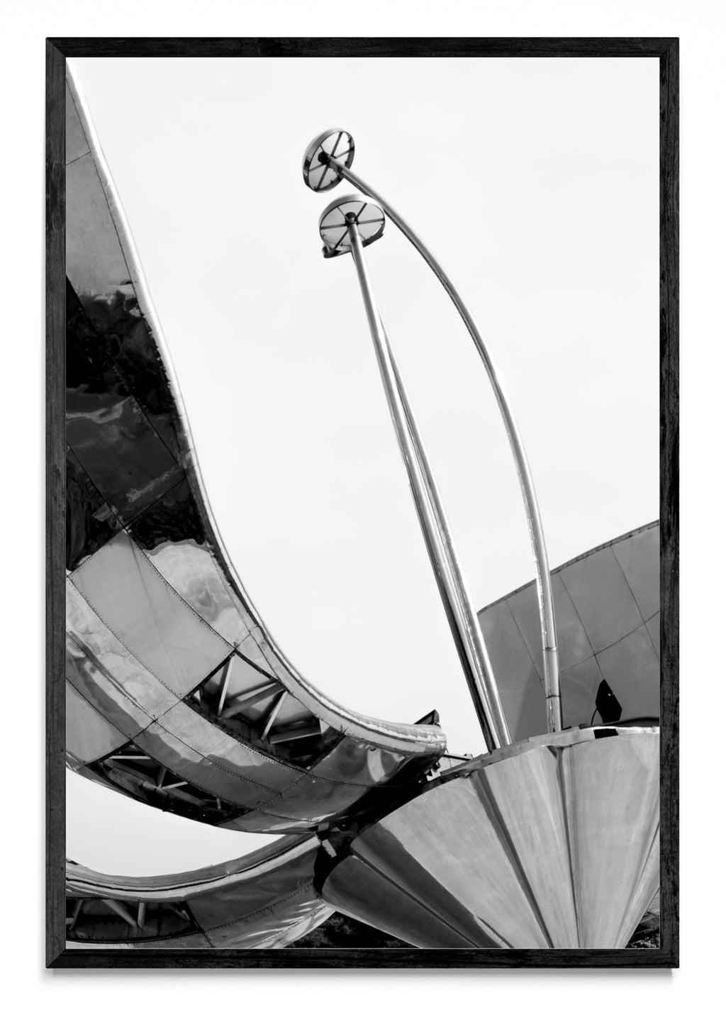 Floralis Acero - FotoV N