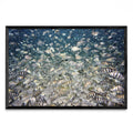 Fish party - FotoH N