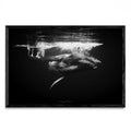 B&W - FotoH N