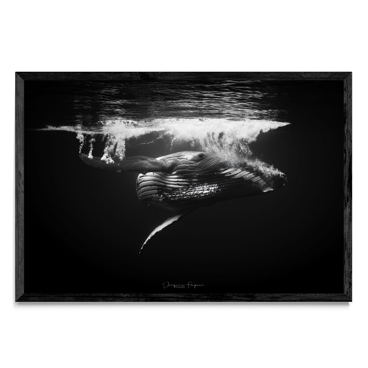 B&W - FotoH N