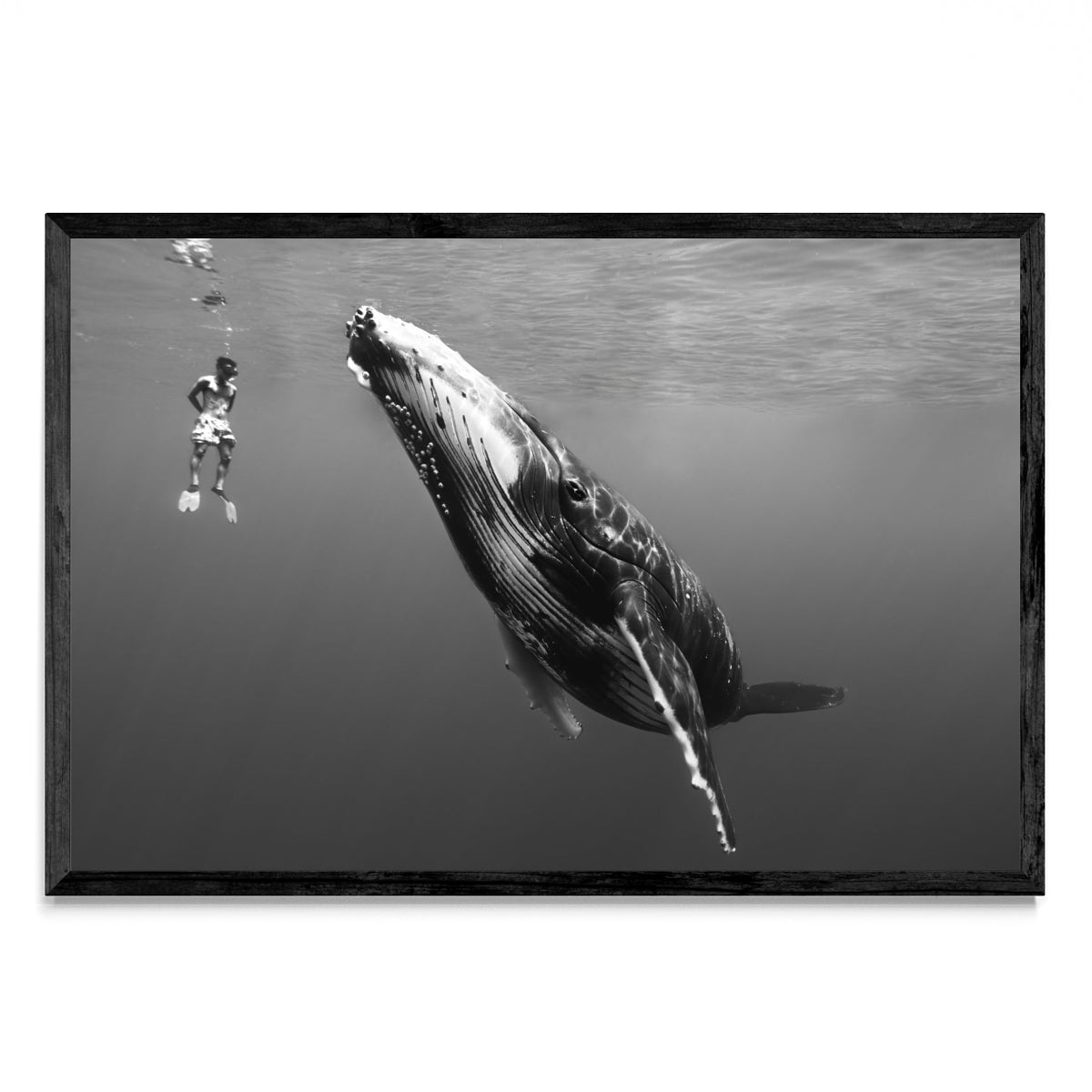 Conexión - FotoH N