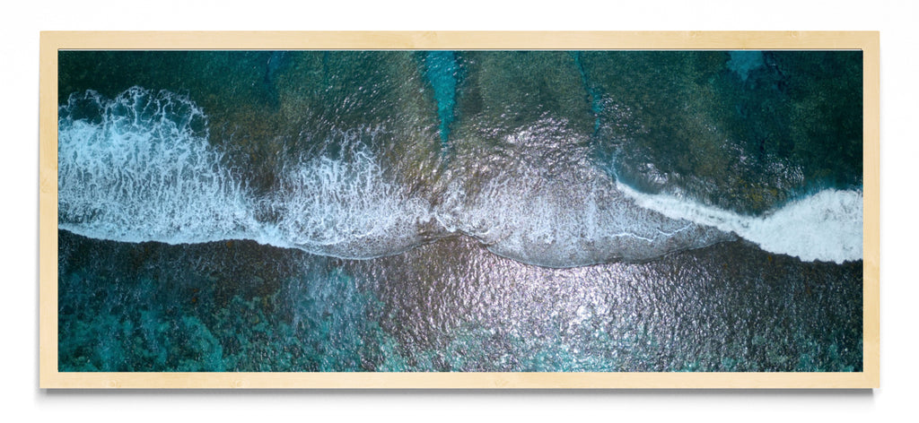 Reef - Pano H MC