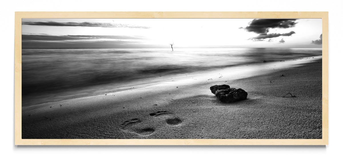 Prints - Pano H MC